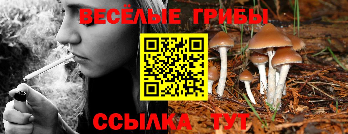 Наро-Фоминск  Галлюциногенные грибы прущие грибы  Псилоцибиновые грибы прущие грибы  Вход с VPN 